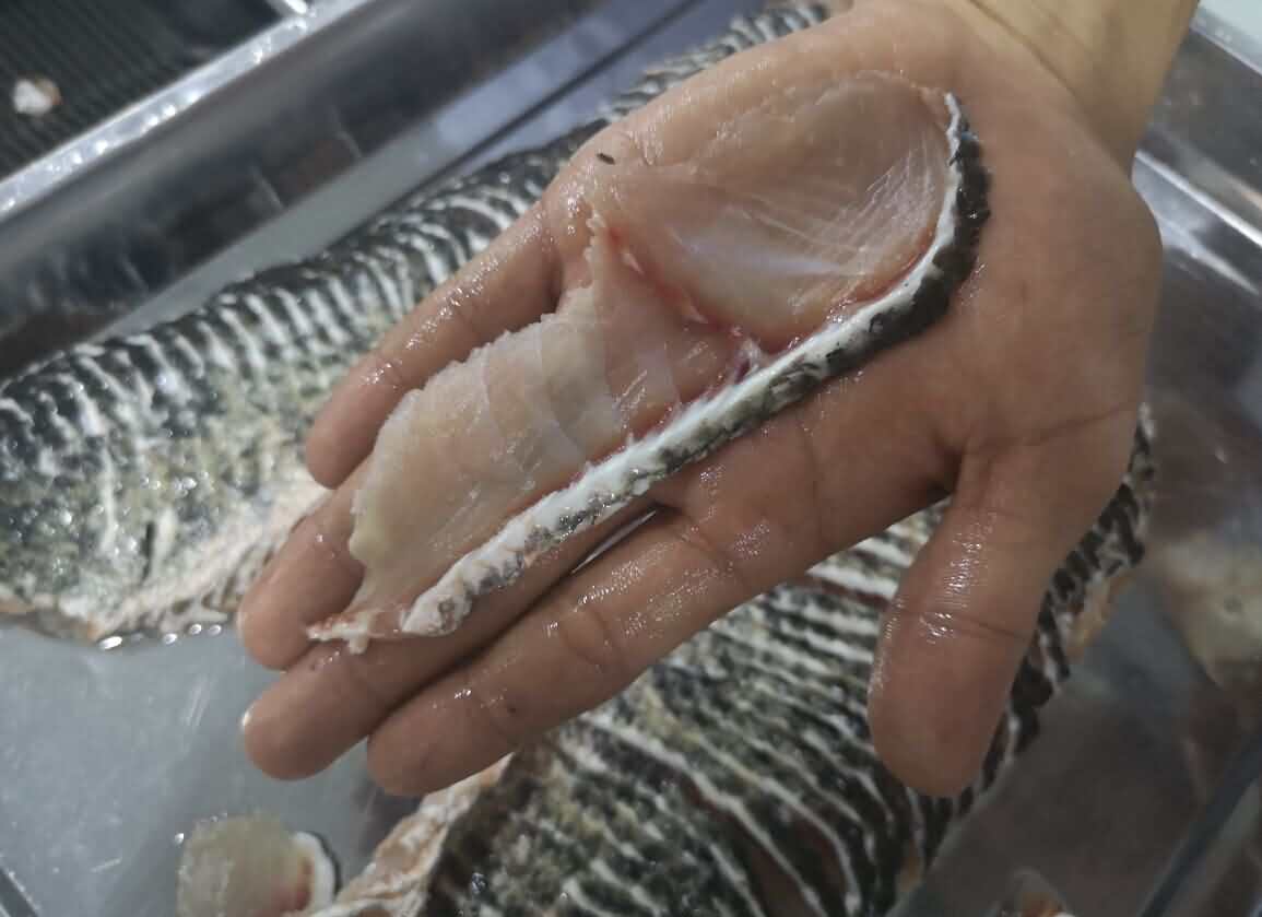 片黑魚片效果