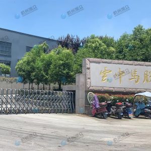 松陽的客戶，調(diào)試30型包子機(jī)完成！