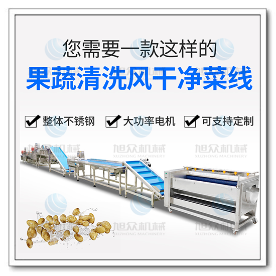 果蔬氣泡清洗機(jī)風(fēng)干流水線(xiàn)