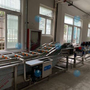 果蔬氣泡清洗機(jī)風(fēng)干流水線多少錢？